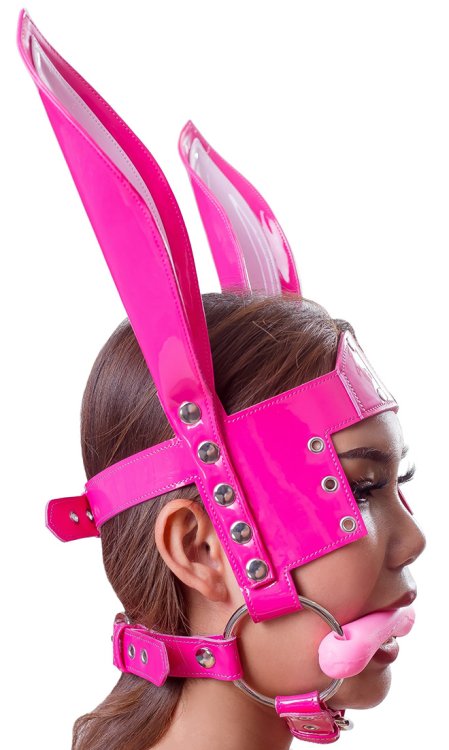 Pony Girl Blinker Harness