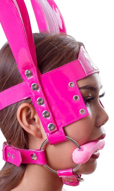 Pony Girl Blinker Harness