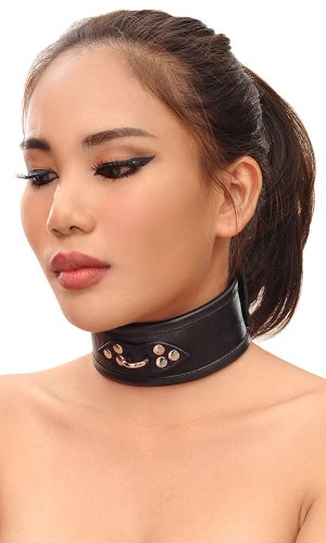 2 inch Leather Trainer Collar