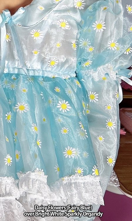Daisy Tinker Belle