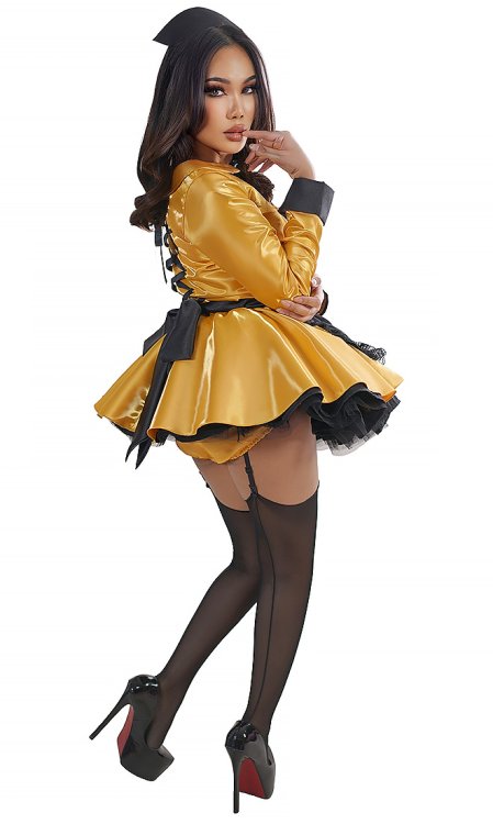 Elegant Wondershine French Maid