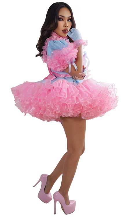 Fanny Wondershine Sissy Dress