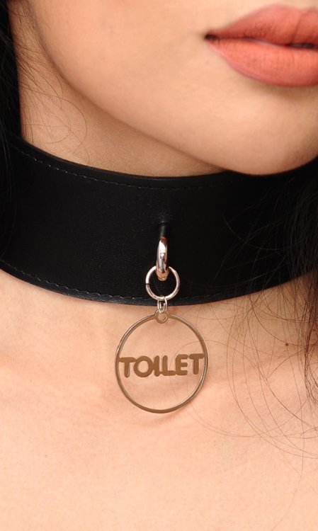 Toilet Tag