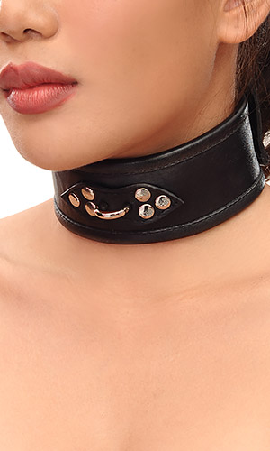 2 inch Leather Trainer Collar