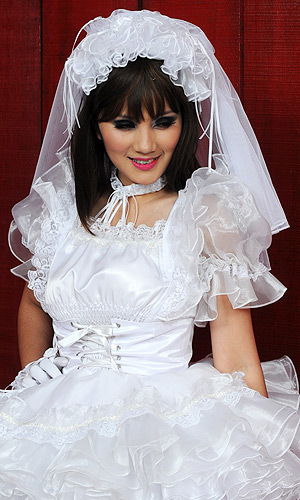 Virgin Bridal Veil